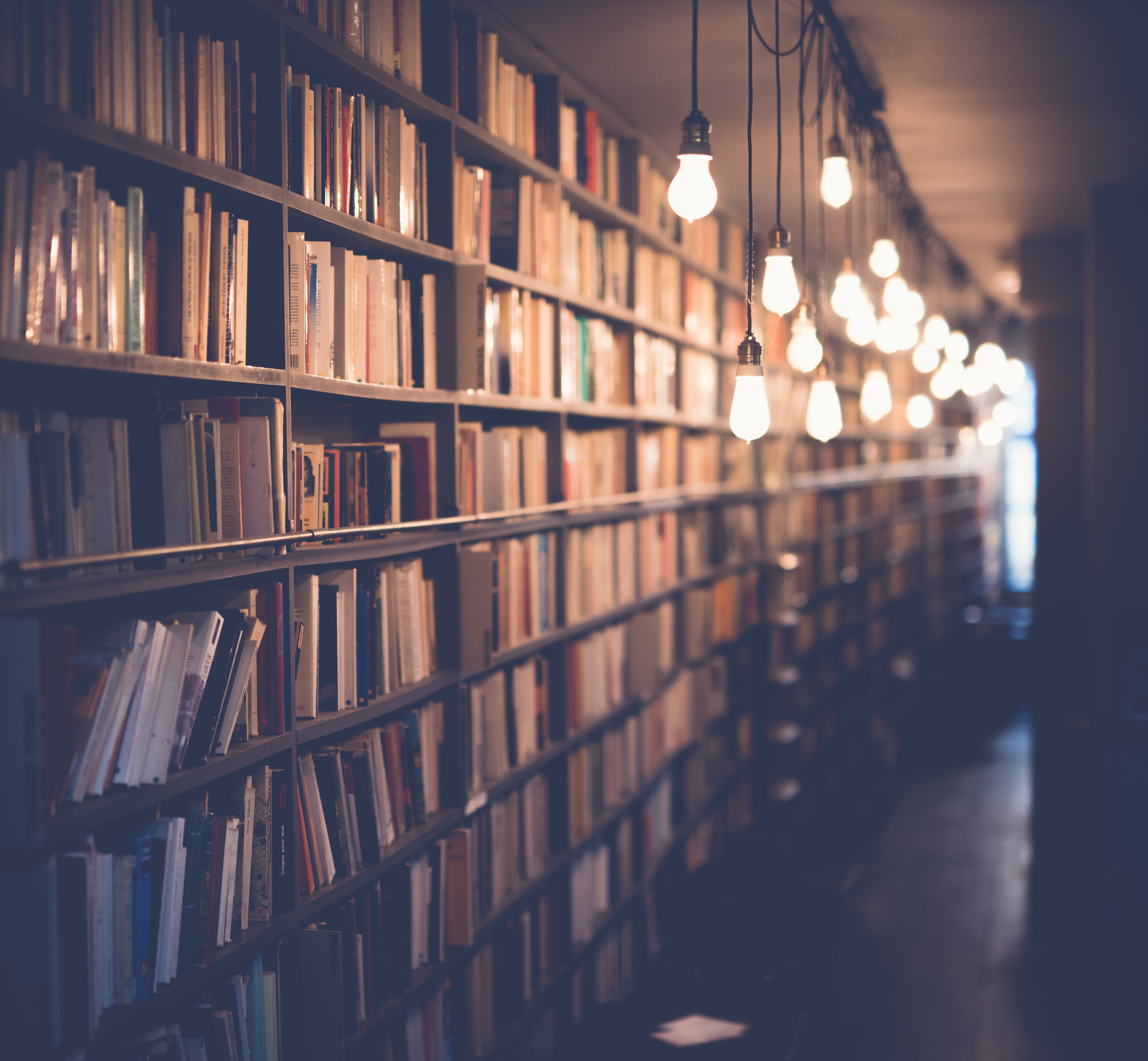 janko-ferlic-174927-unsplash janko-ferlic-174927-unsplash